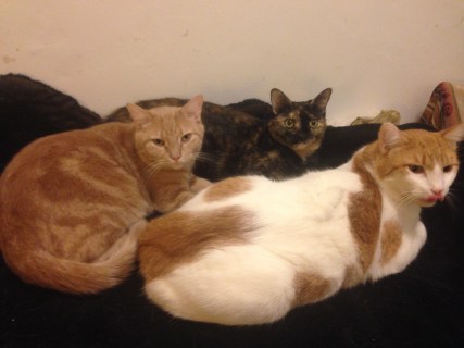 2018-01-13 20.19.34.jpg