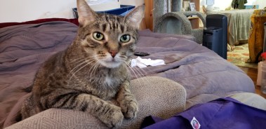 2020-01-12 10.40.50.jpg